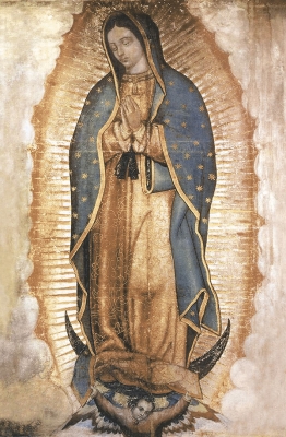 VIRGEN DE GUADALUPE